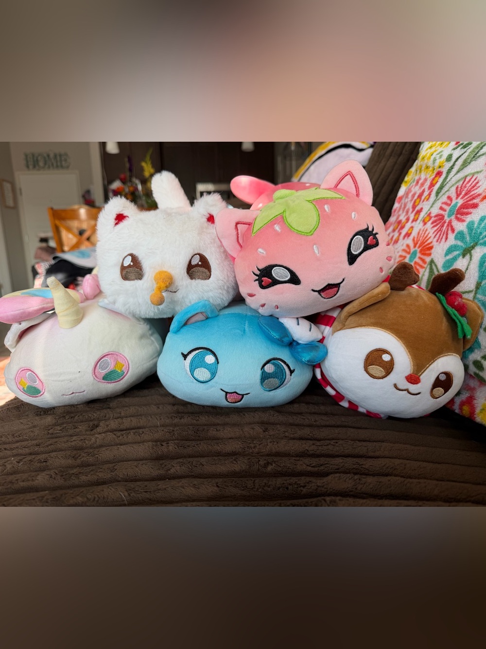 Aphmau Meemeow Bundle